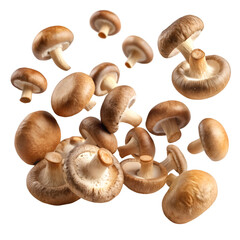 mushrooms isolated on white