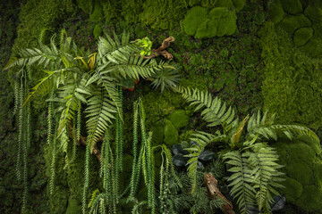 artificial phytowall, stabilized moss with decorative leaves, ferns and vines