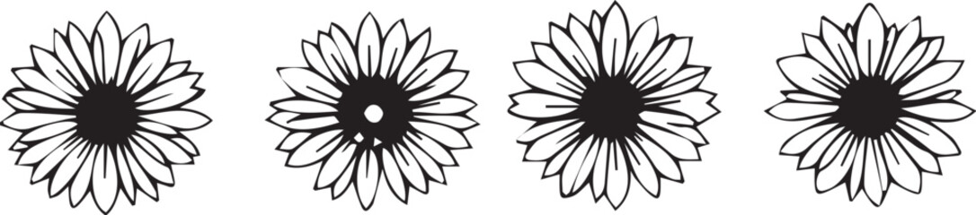 Set of chrysanthemum flowers. Hand drawn vector illustration