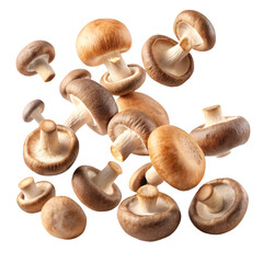 mushrooms isolated on white background