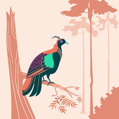 Fototapeta premium A vibrant illustration of the Himalayan Monal, a bird with iridescent plumage found in Himalayan forests, showcasing its stunning colors and natural beauty.