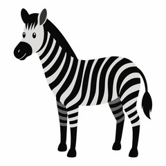 Zebra vector on white background.