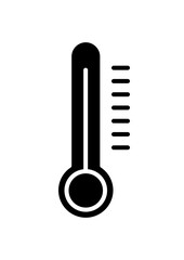 Thermometer Icon