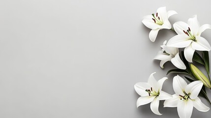Grey Background White Lilies Floral Arrangement, Sympathy, Funeral Lilies, Funeral Flowers