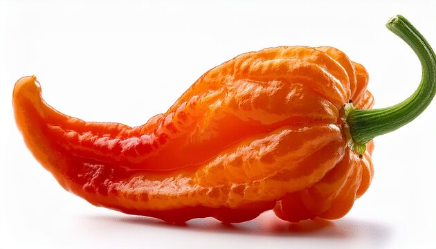 Carolina reaper hottest chilli peper in a world isolated on a white background