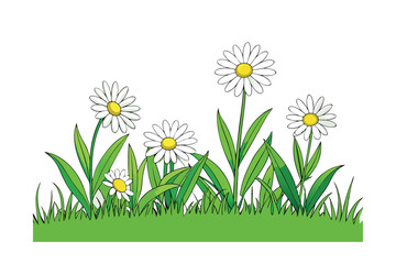 grass and flowers