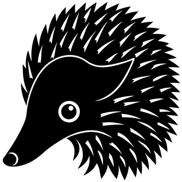 Stylized echidna head vector&mdash;perfect for wildlife designs, logos, and digital projects.
