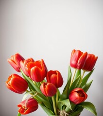 Fototapeta premium A vibrant bouquet of red tulips tied simply with raffia, flowers, gift
