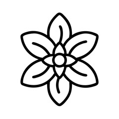anemopsis yerba mansa flower line drawn vector art - illustration anemopsis yerba mansa flower isolated transparent background