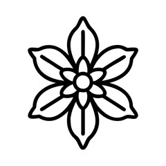 anemopsis yerba mansa flower line drawn vector art - illustration anemopsis yerba mansa flower isolated transparent background