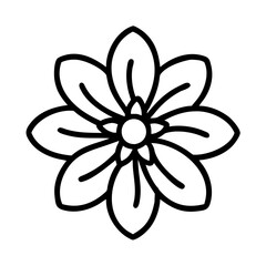 anemopsis yerba mansa flower line drawn vector art - illustration anemopsis yerba mansa flower isolated transparent background