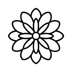 aster flower line drawn vector art - illustration aster flower isolated transparent background