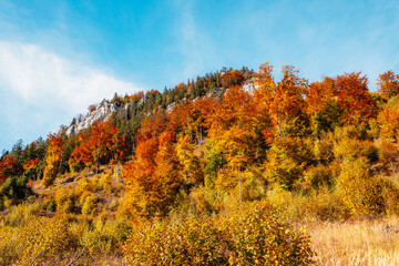 Fototapeta premium Liptov region Hiking in Tatras mountains to autumn cerenova rock view near Liptovsky Mikulas , slovakia.