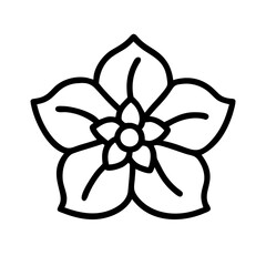 bougainvillea flower line drawn vector art - illustration bougainvillea flower isolated transparent background