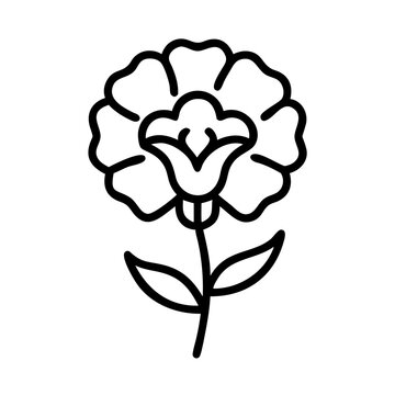recommend clip art: carnation flower line drawn vector art - illustration carnation flower isolated transparent background