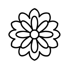 coreopsis flower line drawn vector art - illustration coreopsis flower isolated transparent background