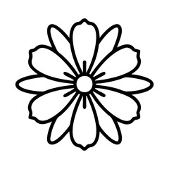 cosmos flower line drawn vector art - illustration cosmos flower isolated transparent background