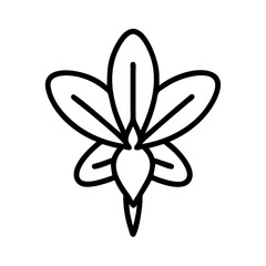 crocosmia flower line drawn vector art - illustration crocosmia flower isolated transparent background