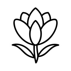 crocus flower line drawn vector art - illustration crocus flower isolated transparent background