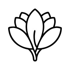 crocus flower line drawn vector art - illustration crocus flower isolated transparent background