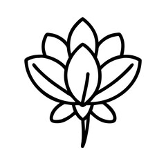 crocus flower line drawn vector art - illustration crocus flower isolated transparent background