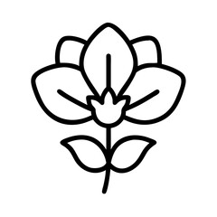 cyclamen flower line drawn vector art - illustration cyclamen flower isolated transparent background