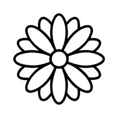 daisy flower line drawn vector art - illustration daisy flower isolated transparent background