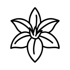 daylily flower line drawn vector art - illustration daylily flower isolated transparent background