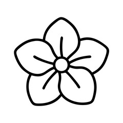 impatiens flower line drawn vector art - illustration impatiens flower isolated transparent background