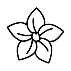 mandevilla flower line drawn vector art - illustration mandevilla flower isolated transparent background