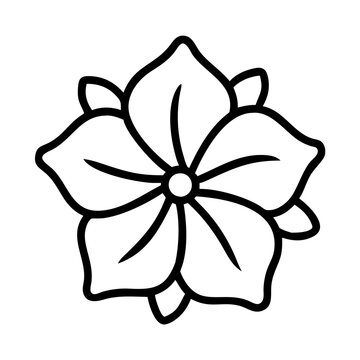 recommend clip art: petunia flower line drawn vector art - illustration petunia flower isolated transparent background