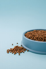 Dry pet food spilled from a blue bowl on a light blue background. Minimalist concept for pet care and feeding