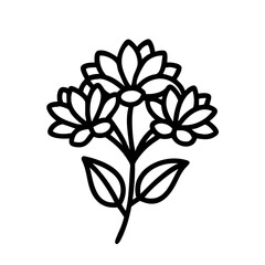sedum flower line drawn vector art - illustration sedum flower isolated transparent background