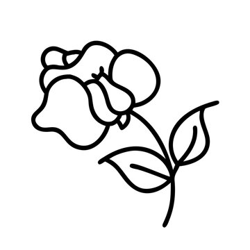 recommend clip art: sweet pea flower line drawn vector art - illustration sweet pea flower isolated transparent background