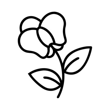 recommend clip art: sweet pea flower line drawn vector art - illustration sweet pea flower isolated transparent background