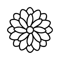 zinnia flower line drawn vector art - illustration zinnia flower isolated transparent background