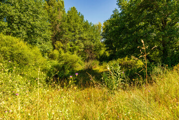 rural countryside landscape during a sunny summer day inside Val d'Agri, Basilicata