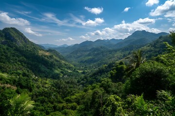 Obraz premium Lush jungle landscape with clear sky for exotic vacation escape 