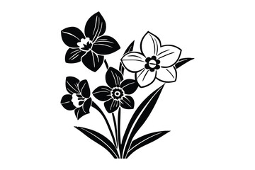 Daffodil silhouette, daffodil illustration spring silhouette, floral outline, Daffodil silhouette Icon