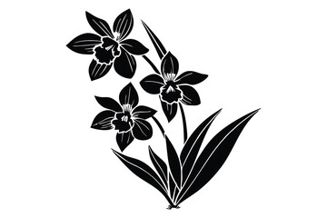 Daffodil silhouette, daffodil illustration spring silhouette, floral outline, Daffodil silhouette Icon