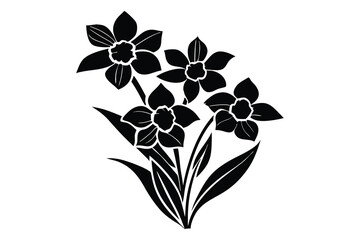 Daffodil silhouette, daffodil illustration spring silhouette, floral outline, Daffodil silhouette Icon