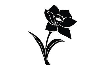 Daffodil silhouette, daffodil illustration spring silhouette, floral outline, Daffodil silhouette Icon