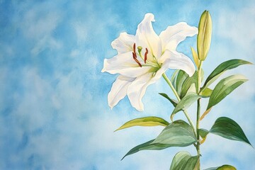 Fototapeta premium Delicate white lily against a light azure sky.