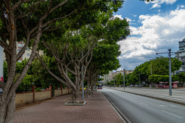 Empty city street with trees and buildings under a dramatic spring sky. Meltem Boulevard, Antalya, Turkey, Mediterranean region.