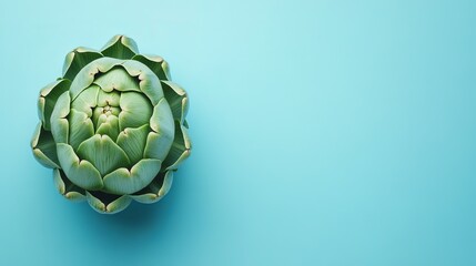 Fototapeta premium Close-up of a vibrant green artichoke on a bright turquoise background, showcasing its intricate layers.