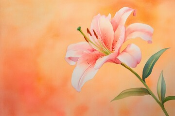 Delicate pink lily against a soft peachy background.