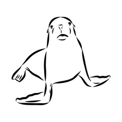 navy seal, vector sketch