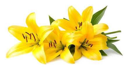 Obraz premium A bouquet of yellow flowers