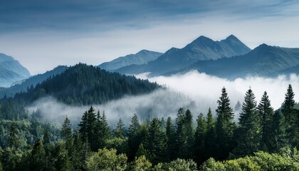 Obraz premium of mountain landscape Forest and mountains in fog