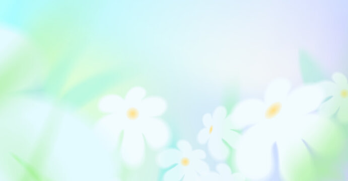 Spring or summer season blur background. Abstract gradation green blue color backdrop, spring white flowers, leaves, sky. Chamomile bg. Soft gradient mesh illustration